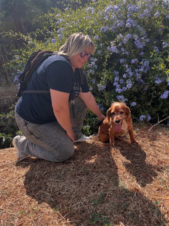 Dog walking on a green trail in Parede